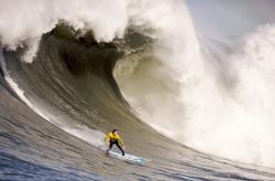 开云足球直播-尤文鏖战比利时，格纳布里状态火热，新赛季的战术变革与挑战