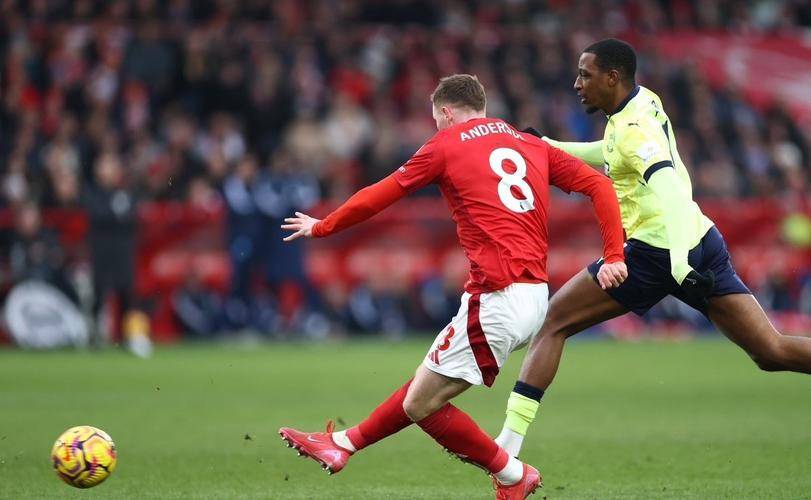 布莱顿客场战平对手,保持不败 布莱顿客场战平对手,保持不败