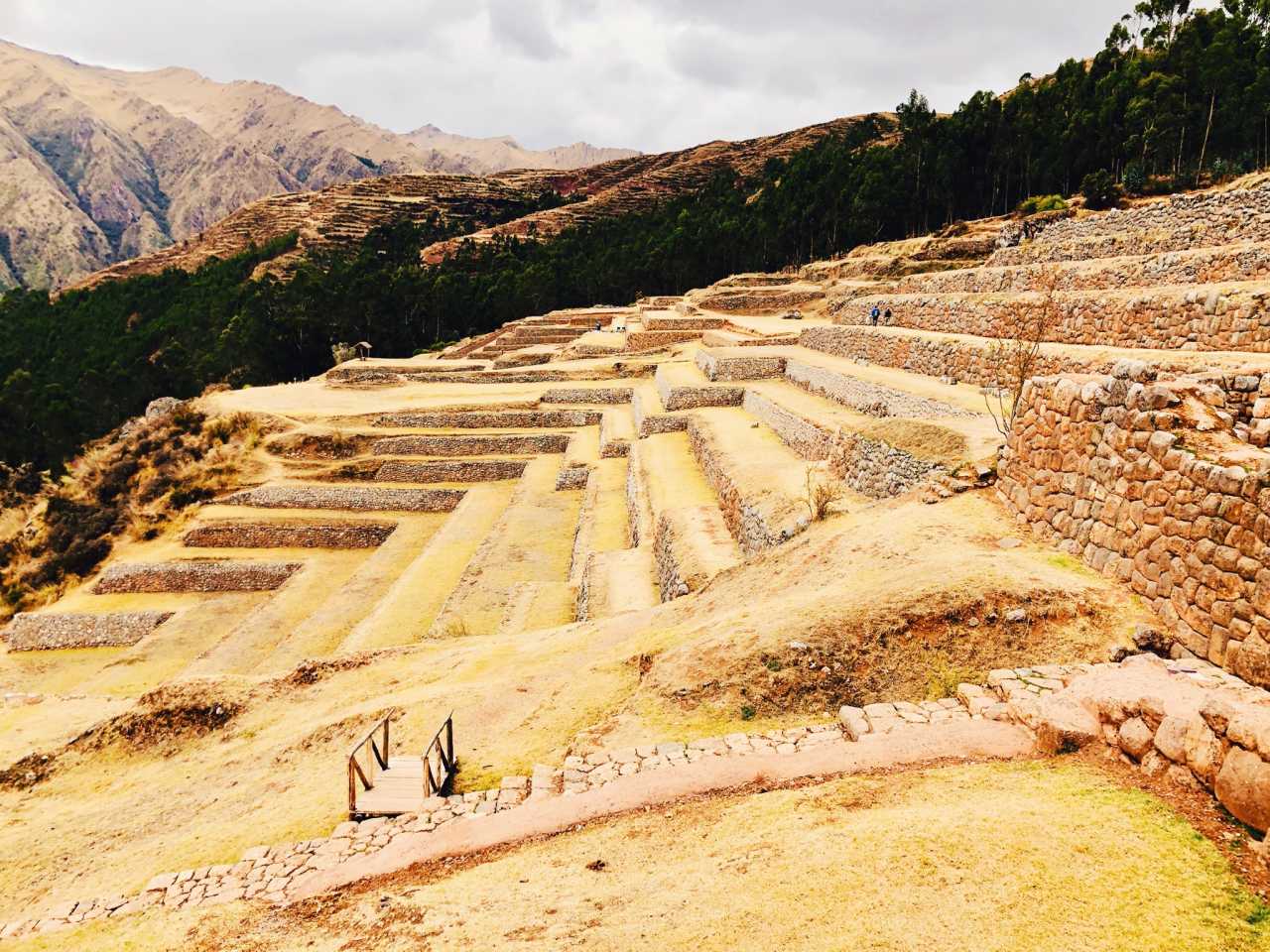 包含秘鲁完胜阿根廷，恩昆库完成帽子戏法的词条