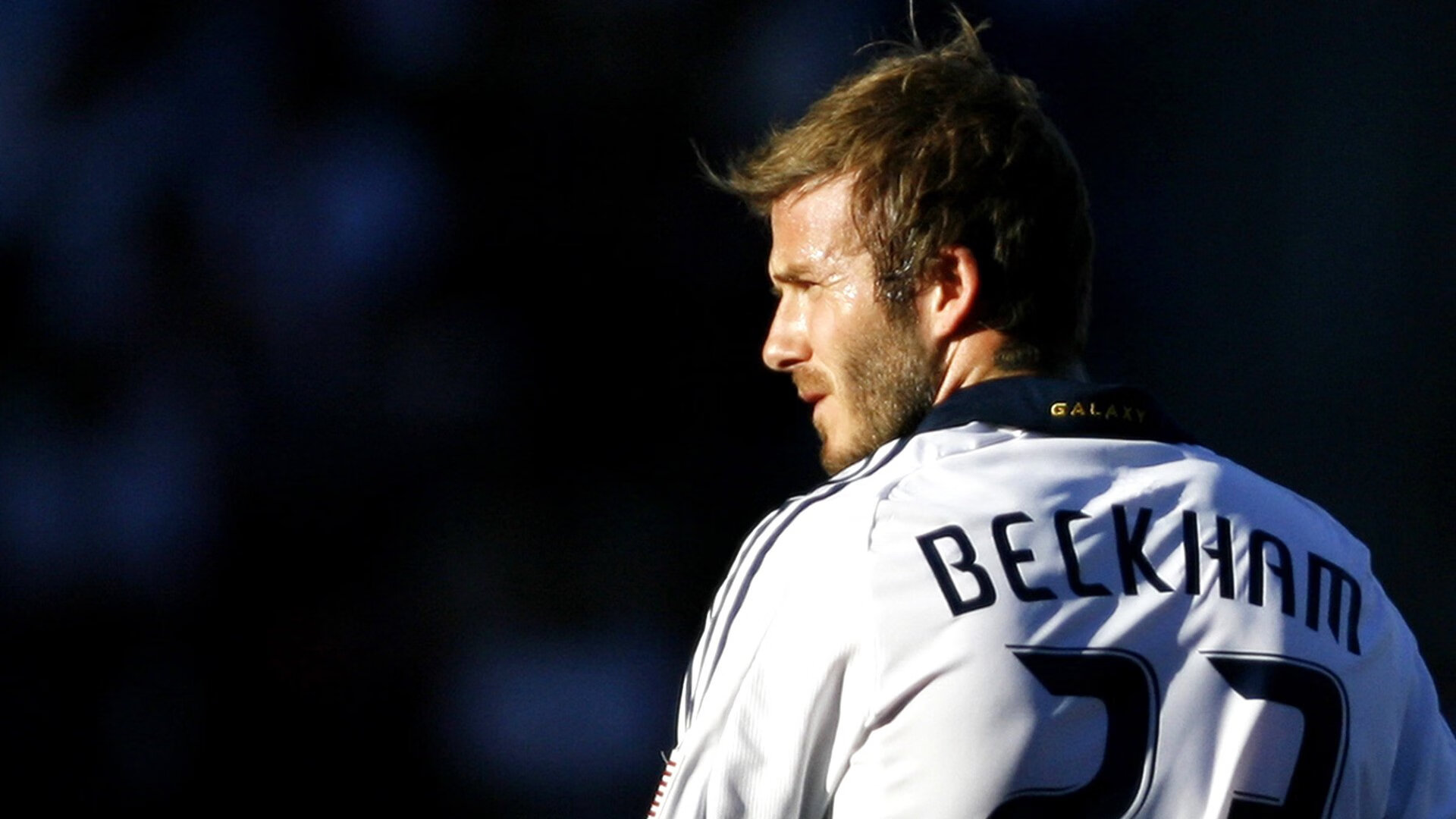 利拉德时间永不调时，当黄蜂遇上骑士，稳定输出成为最锋利的刺